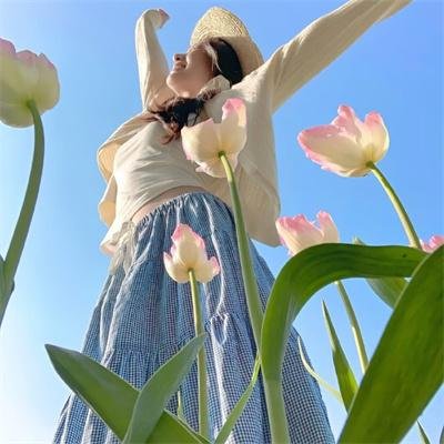 和平使者第二季